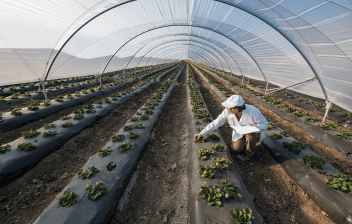 beneficio agricultura